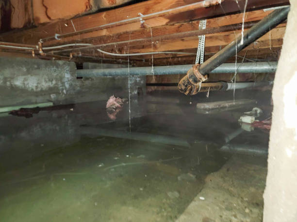 Best Water damage restoration experts  in Merrydale, LA