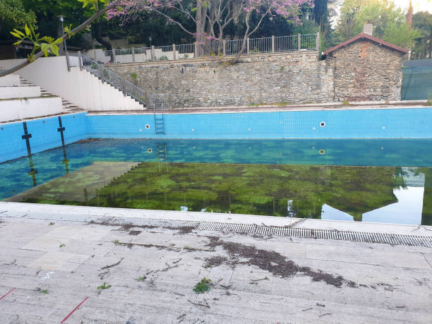 Best Flood restoration services  in Merrydale, LA