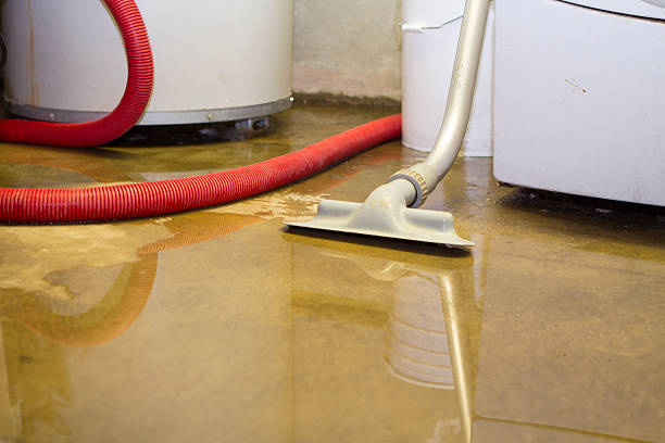 Best Ceiling water damage repair  in Merrydale, LA